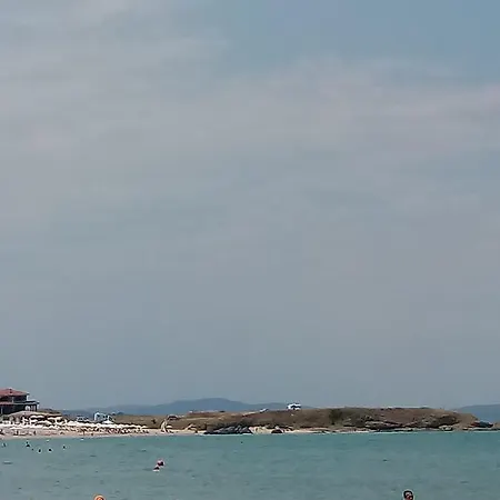 Niki 로제넷츠